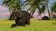 Triceratops Roaming Tropical Environment Wall Decal Design 1