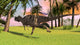 Ceratosaurus Running across Field Wall Decal Design 3