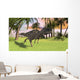Ceratosaurus Running across Field Wall Decal Design 1