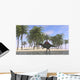 Spinosaurus Hunting for Its Wall Decal Design 9