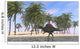 Spinosaurus Hunting for Its Wall Decal Design 9