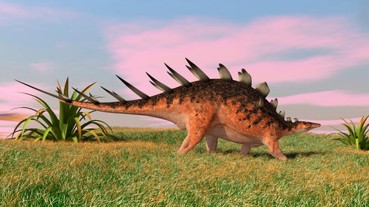 Kentrosaurus Walking across Prehistoric Wall Decal Design 6
