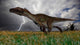 Utahraptor Running across Open Wall Decal Design 1
