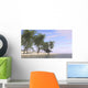 Spinosaurus Roaming along Shoreline Wall Decal