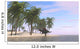 Spinosaurus Roaming along Shoreline Wall Decal