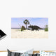 Triceratops Walking along Prehistoric Wall Decal Design 2