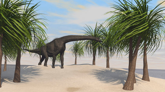 Large Brachiosaurus Grazing Trees Wall Decal Design 2