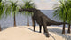 Large Brachiosaurus Grazing Trees Wall Decal Design 1