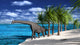 Large Brachiosaurus Shoreline Wall Decal