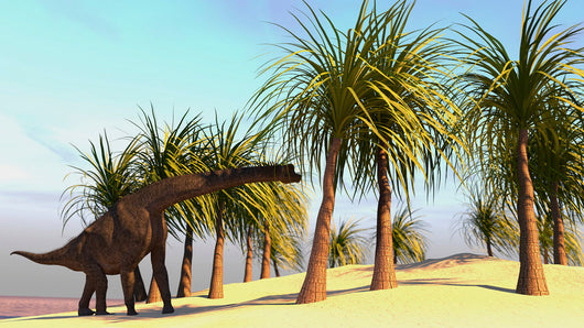 Large Brachiosaurus Grazing Wall Decal Design 4