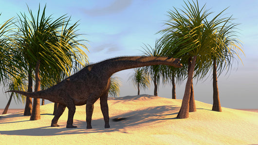 Large Brachiosaurus Grazing Wall Decal Design 3