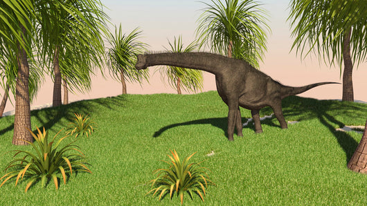 Large Brachiosaurus Grazing Grassy Wall Decal