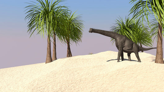 Large Brachiosaurus Tropical Environment Wall Decal Design 3
