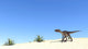 Utahraptor Desert Landscape Wall Decal Design 2