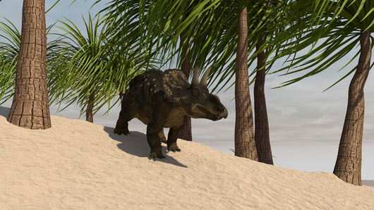 Triceratops Walking Tropical Environment Wall Decal Design 2