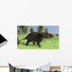 Triceratops Walking Open Field Wall Decal