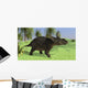Triceratops Walking Open Field Wall Decal