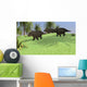 Three Triceratops Walking across Wall Decal