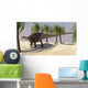 Dicraeosaurus Walking Tropical Environment Wall Decal Design 4