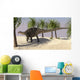 Dicraeosaurus Walking Tropical Environment Wall Decal Design 4