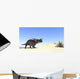 Einiosaurus Walking across Barren Wall Decal Design 2