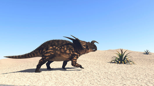 Einiosaurus Walking across Barren Wall Decal Design 1