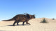 Einiosaurus Walking across Barren Wall Decal Design 1
