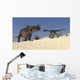 Brown Einiosaurus and Utahraptor Wall Decal