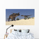 Brown Einiosaurus and Utahraptor Wall Decal