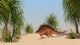 Kentrosaurus Walking Tropical Environment Wall Decal Design 2