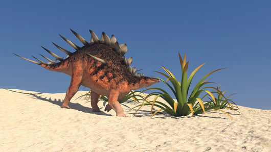 Kentrosaurus Walking across Barren Wall Decal Design 6