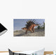 Kentrosaurus Walking across Barren Wall Decal Design 5