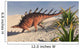 Kentrosaurus Walking across Barren Wall Decal Design 4