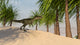 Monolophosaurus Tropical Environment Wall Decal Design 4