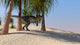 Tyrannosaurus Rex Hunting for Wall Decal Design 14