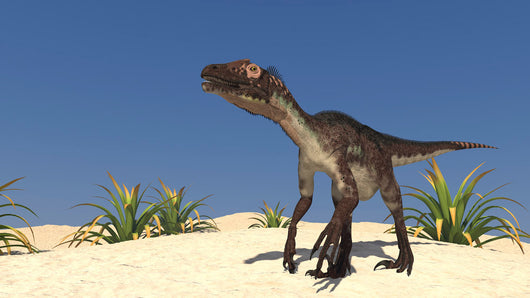 Utahraptor Desert Landscape Wall Decal Design 1