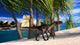 Utahraptor Walking along Shore Wall Decal