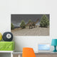 Dicraeosaurus Walking amongst Pine Wall Decal