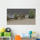 Dicraeosaurus Walking amongst Pine Wall Decal