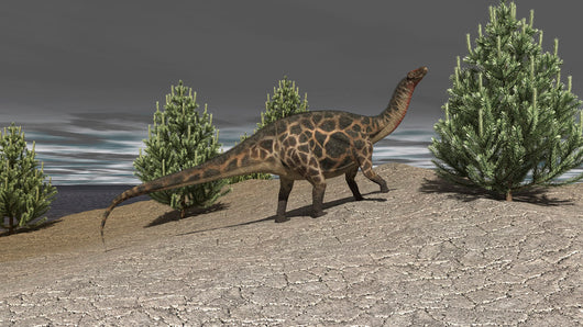 Dicraeosaurus Walking amongst Pine Wall Decal