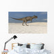 Ceratosaurus Walking across Barren Wall Decal