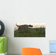 Ceratosaurus Hunting Prehistoric Grasslands Wall Decal Design 2