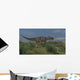 Ceratosaurus Hunting Prehistoric Grasslands Wall Decal Design 1