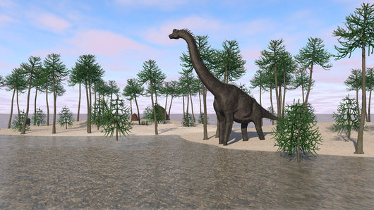 Large Brachiosaurus Standing Water's Wall Decal