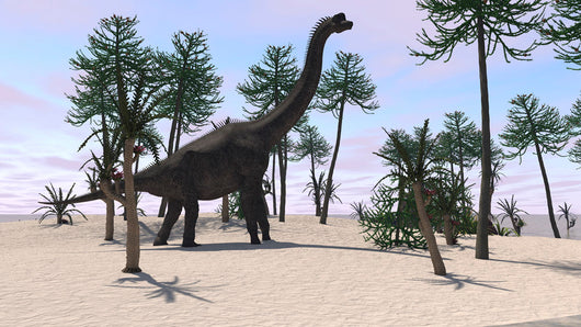 Large Brachiosaurus Tropical Environment Wall Decal Design 2