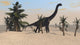 Large Brachiosaurus Tropical Environment Wall Decal Design 1