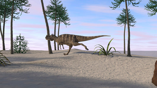 Ceratosaurus Hunting for Its Wall Decal Design 5