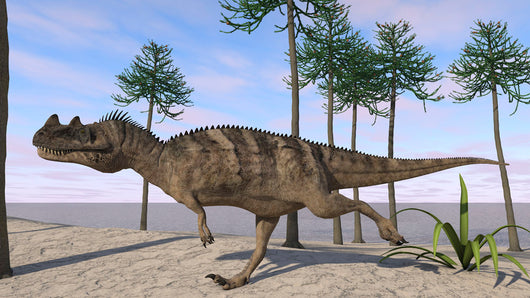 Ceratosaurus Hunting for Its Wall Decal Design 4