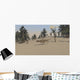 Ceratosaurus Hunting for Its Wall Decal Design 1