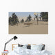 Ceratosaurus Hunting for Its Wall Decal Design 1